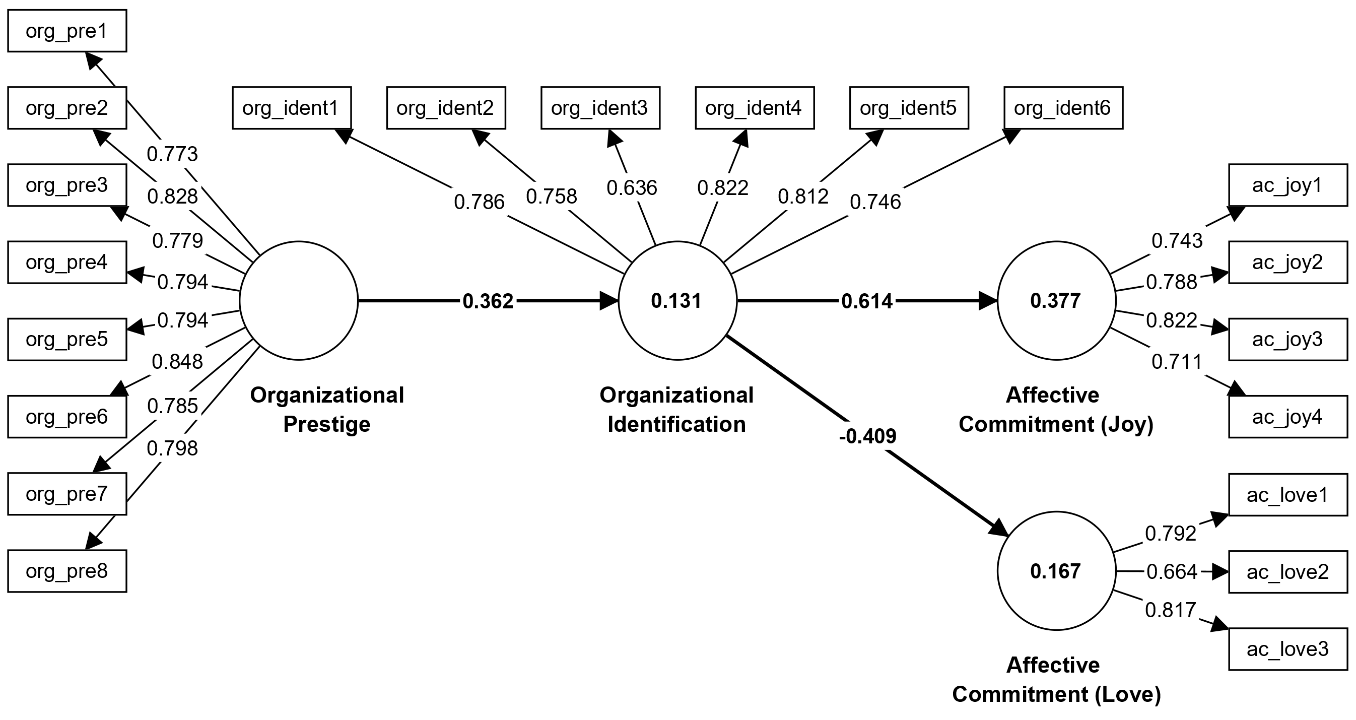 Organizational identification model