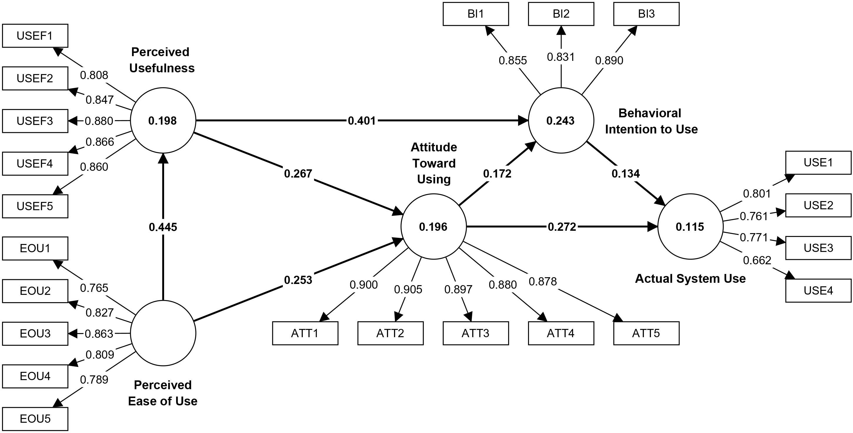 Technology Acceptance Model (TAM)