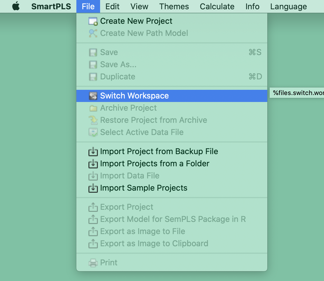 Switch Workspace in SmartPLS